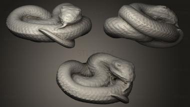 3D model Coiled snake (STL)